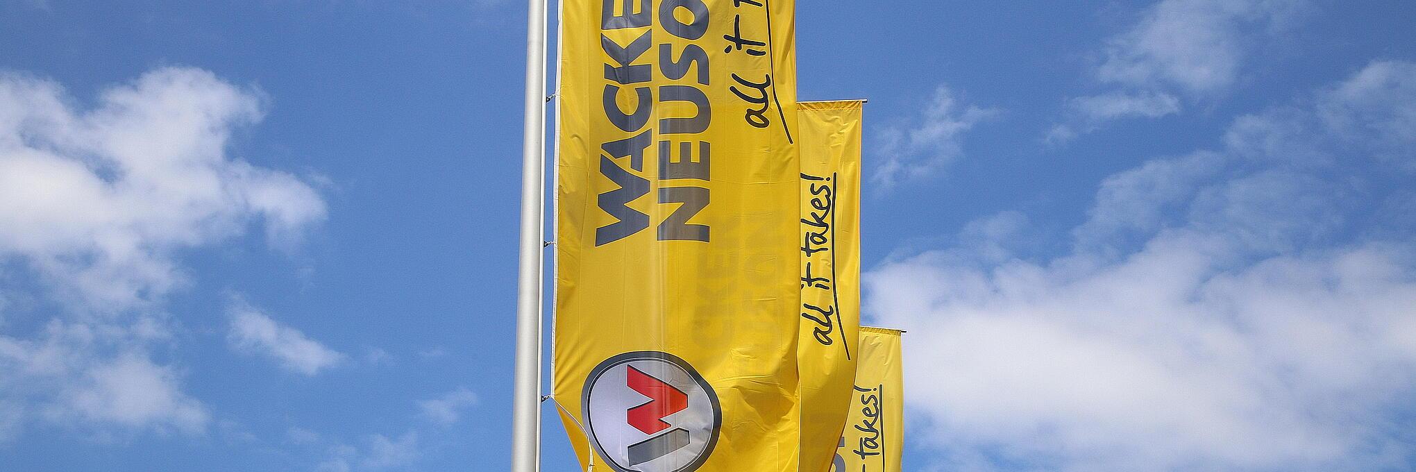 Flags in action