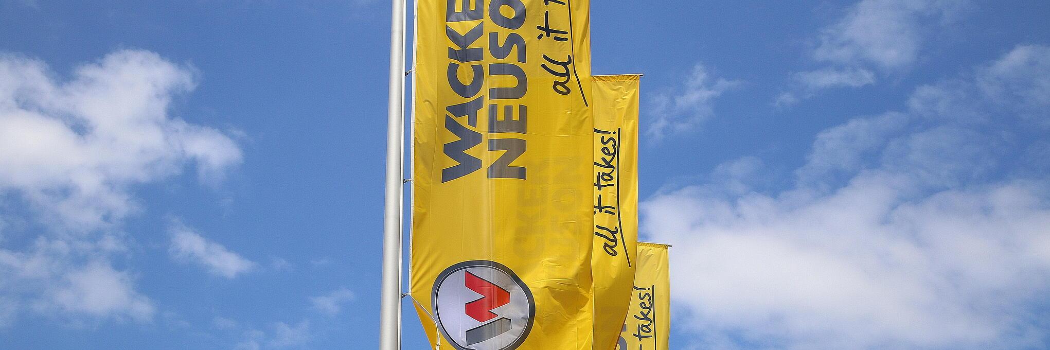 Flags in action